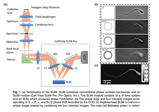 新建 BMP 图像.bmp