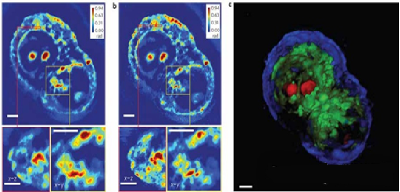 新建 BMP 图像 (2).bmp